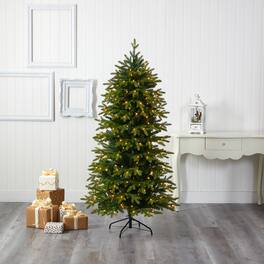 BreeBe - 6’ Belgium Fir Christmas Tree with 300 Clear LED Lights - Green