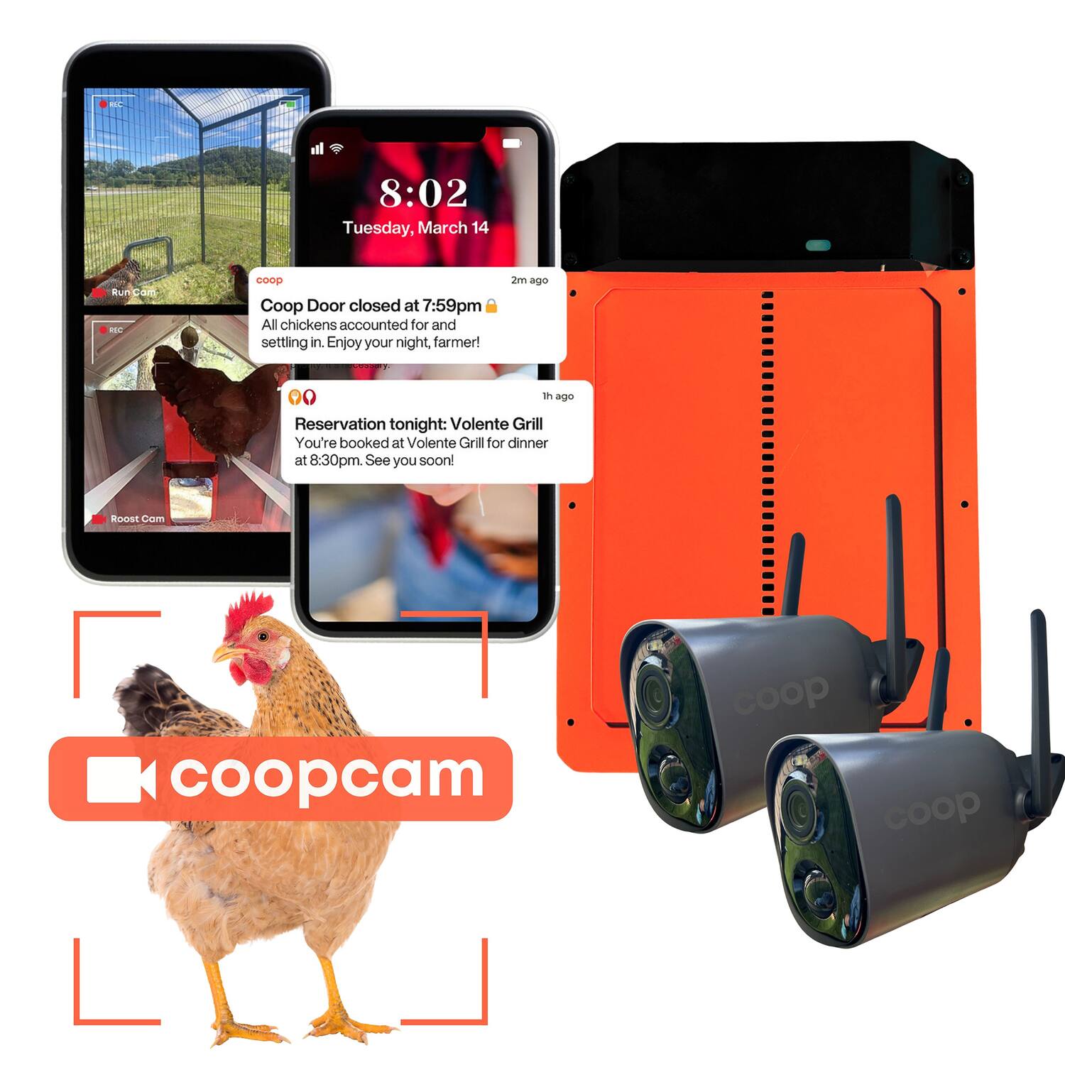 8:02 Tuesday, March 14

Coop Door closed at 7:59pm  
All chickens accounted for and settling in. Enjoy your night, farmer!

Reservation tonight: Volente Grill  
You're booked at Volente Grill for dinner at 8:30pm. See you soon!

Roost Cam  
Coop Cam

Coop Cam