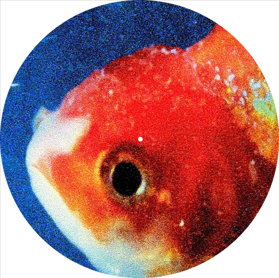 Front. Big Fish Theory [Picture Disc].