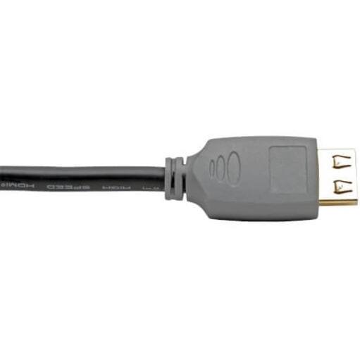HDMI 1.0