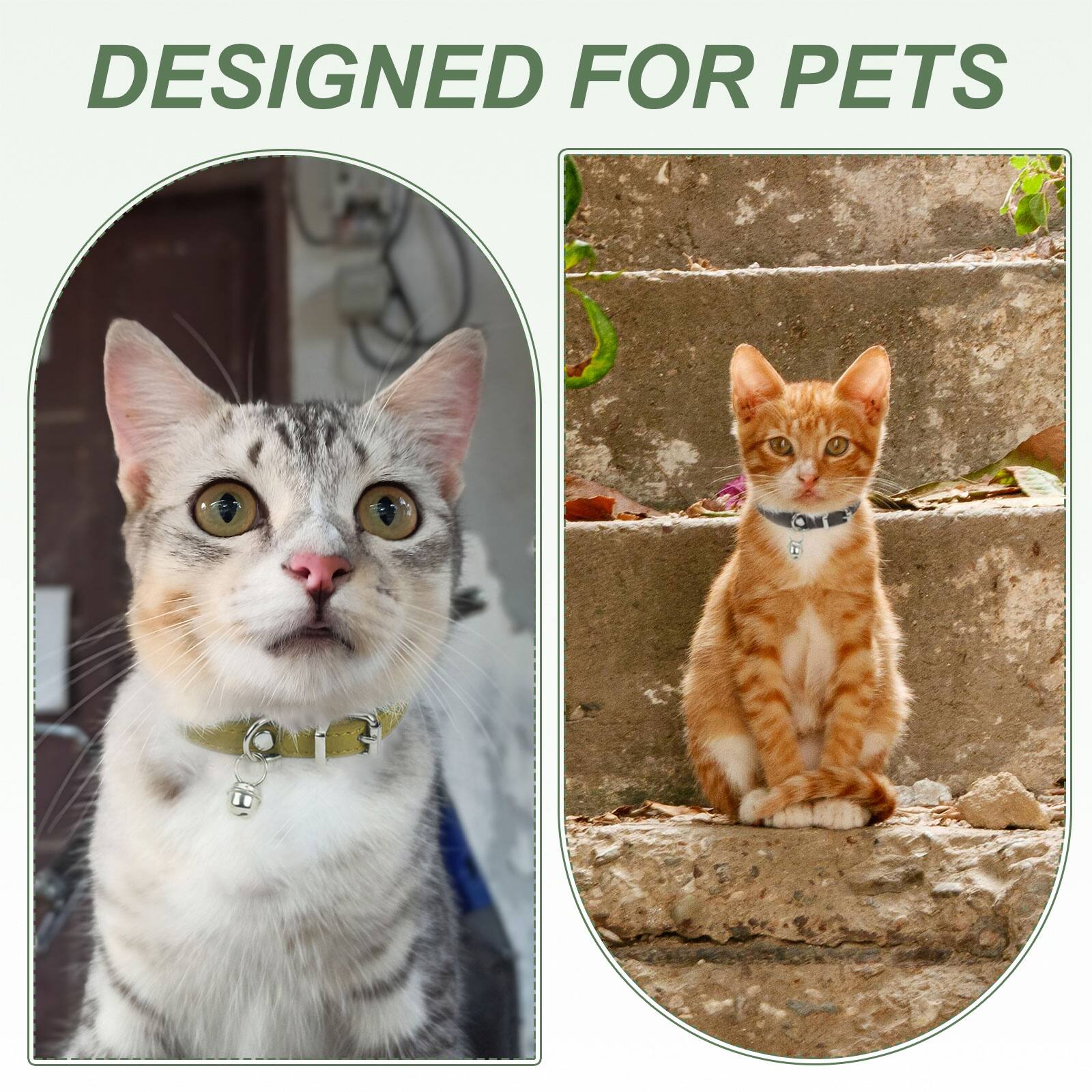 DESIGNED FOR PETS