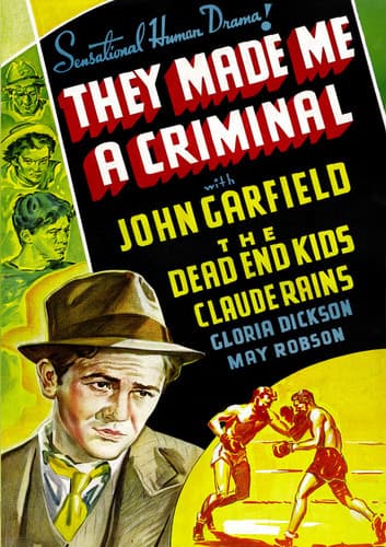 They Made Me a Criminal  - DVD