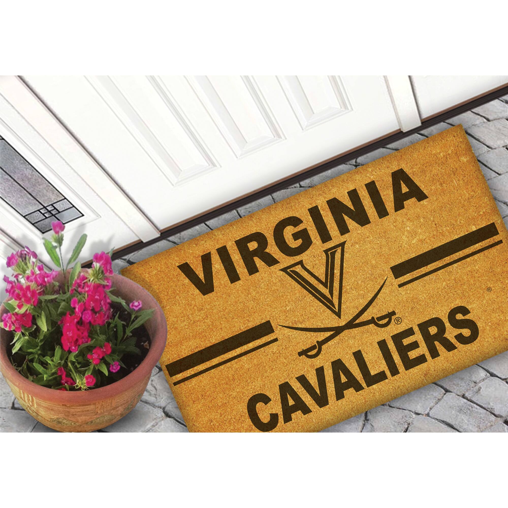 VIRGINIA  
CAVALIERS