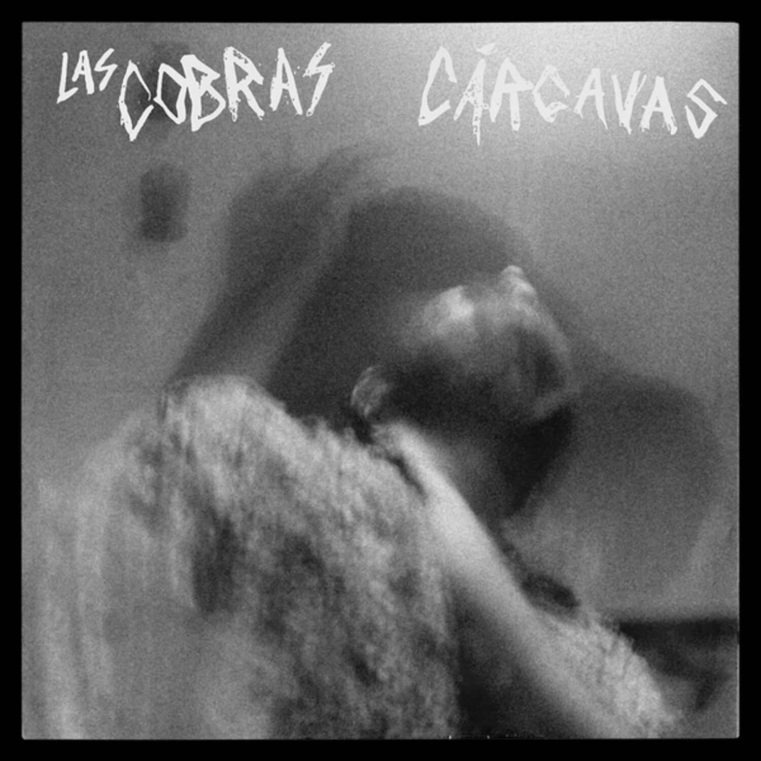 Las Cobras - Carcavas   - VINYL LP price history on PriceWatchPro