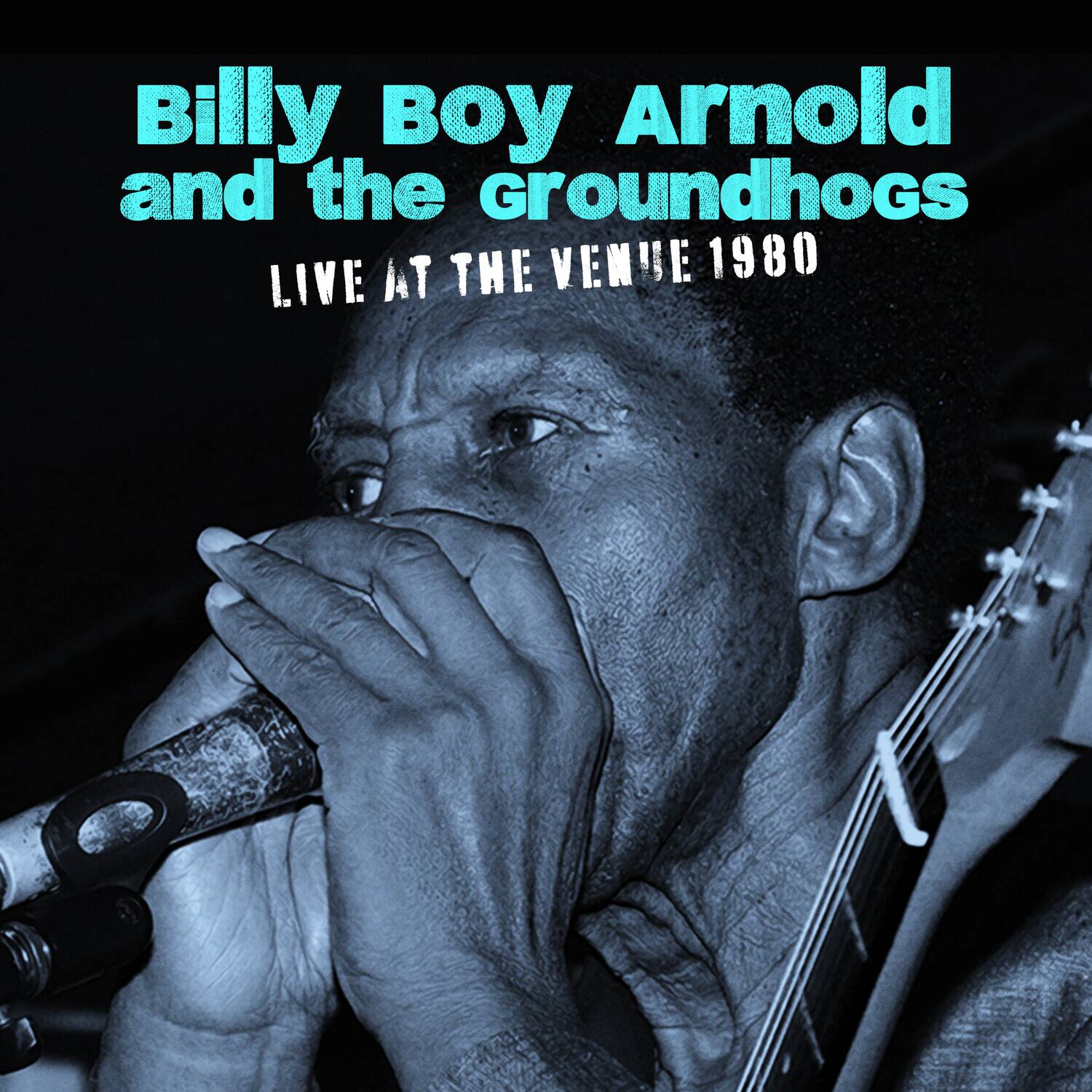 Arnold,Billy Boy / Groundhogs - Live at the Venue 1980   - COMPACT DISCS [CD] price history on PriceWatchPro