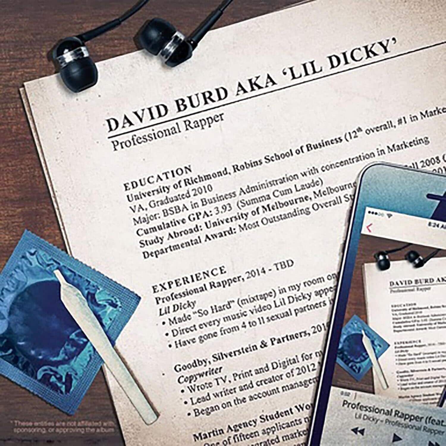 Lil Dicky - Professional Rapper   - COMPACT DISCS [CD] price history on PriceWatchPro