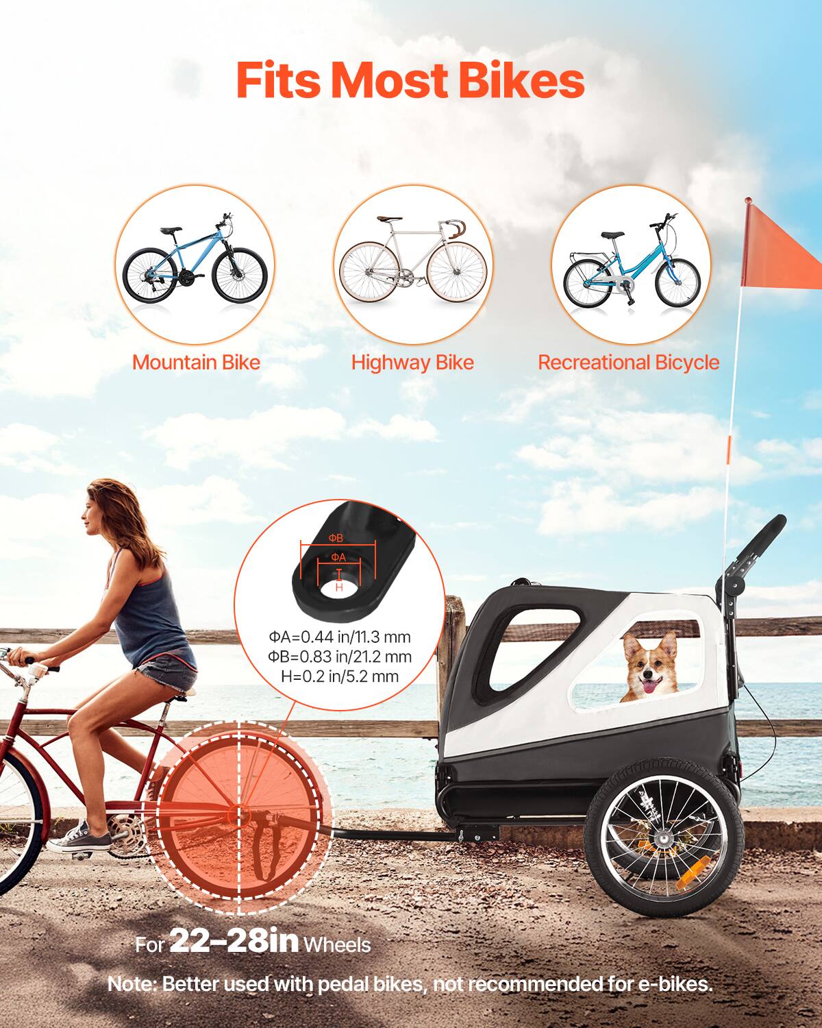 Fits Most Bikes

- Mountain Bike
- Highway Bike
- Recreational Bicycle

For 22-28in Wheels

Note: Better used with pedal bikes, not recommended for e-bikes.

Dimensions:
- ΦA = 0.44 in / 11.3 mm
- ΦB = 0.83 in / 21.2 mm
- H = 0.2 in / 5.2 mm