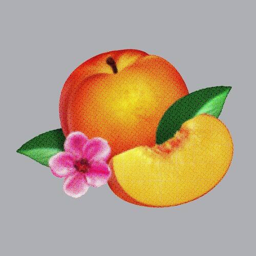 Phoenix - Bankrupt! (Limited)   - COMPACT DISCS [CD] price history on PriceWatchPro
