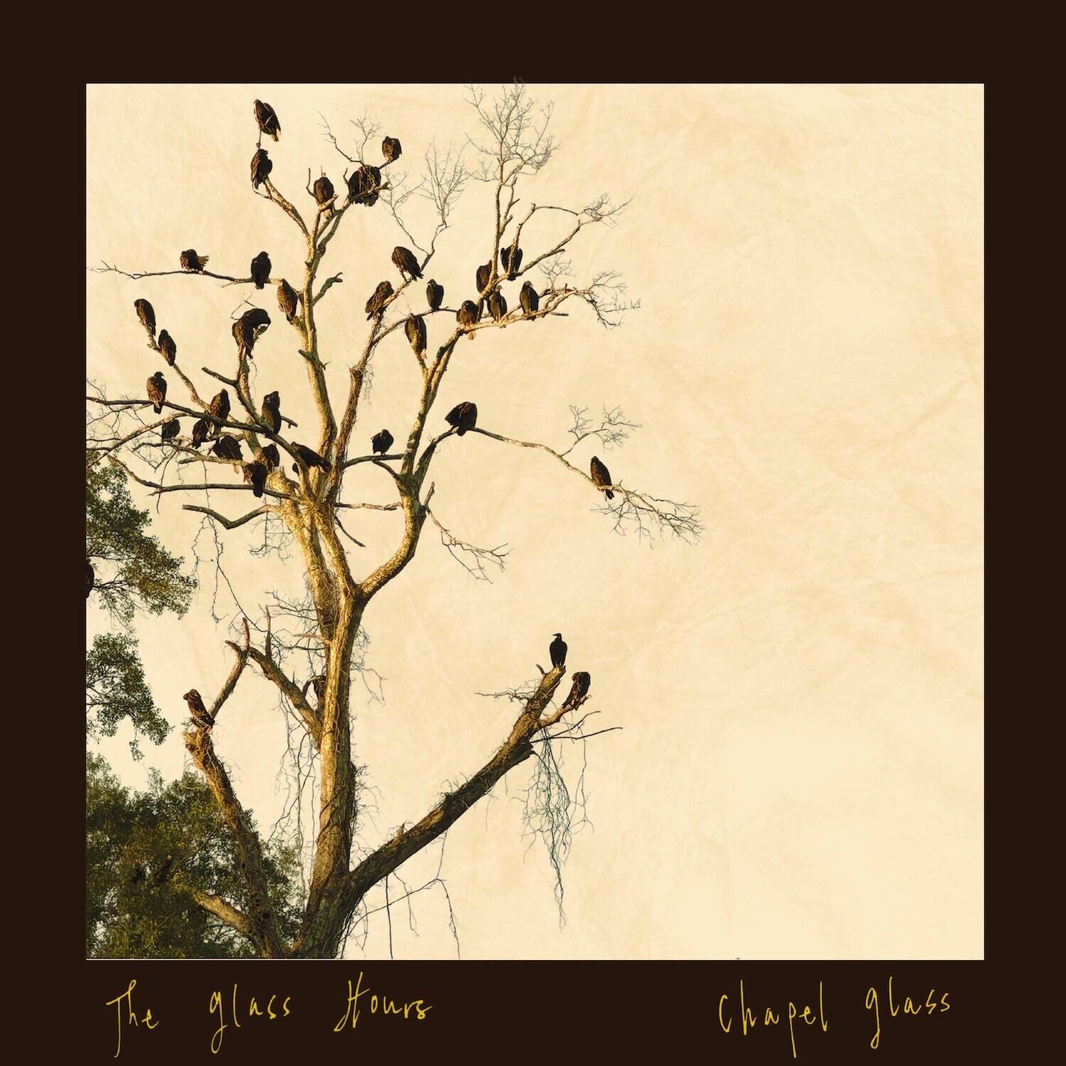 The glass hours
Chapel glass