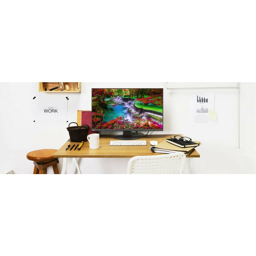 NEC Display MultiSync EA242WU BK 24