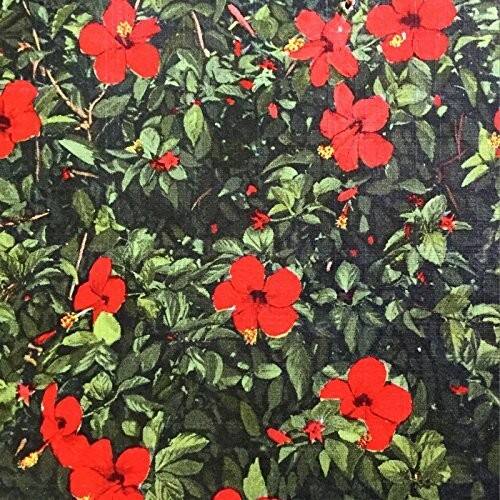 Front. Real Live Tigers - Denatured   - VINYL LP .