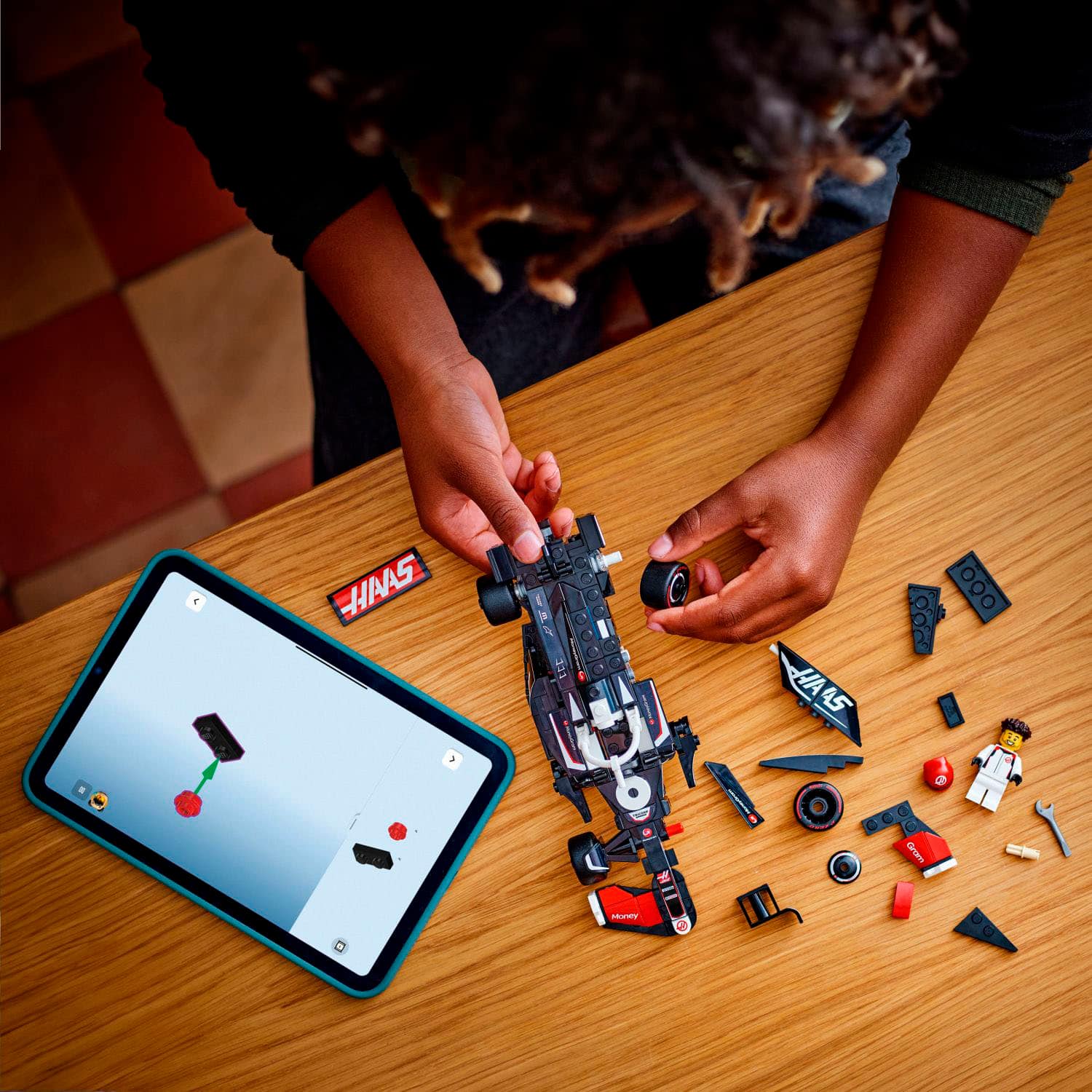 CHAAS HA45 HA 45 RD M