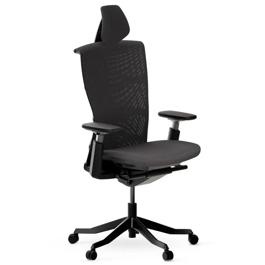 Autonomous ErgoChair Ultra 2 Ergonomic Office Chair High Back With ...