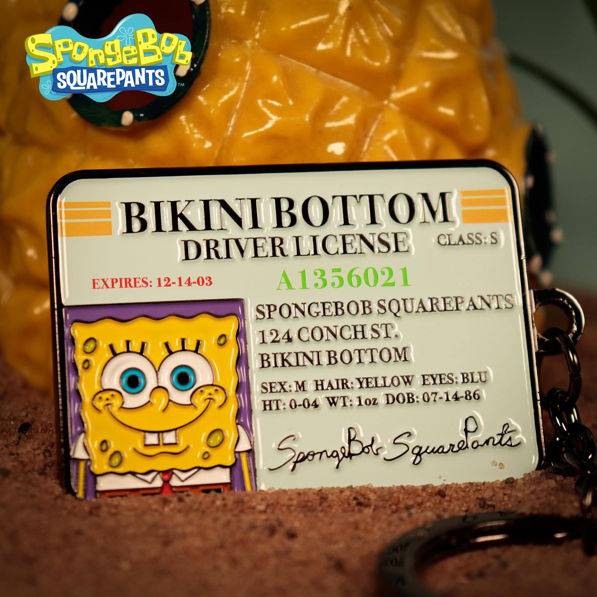SpongeBob SQUAREPANTS  
BIKINI BOTTOM DRIVER LICENSE  
CLASS: S  
EXPIRES: 12-14-03  
A1356021  
SPONGEBOB SQUAREPANTS  
124 CONCH ST.  
BIKINI BOTTOM  
SEX: M  
HAIR: YELLOW  
EYES: BLU  
WT: 1oz  
DOB: 07-14-86  
HT: 0-04  
SpongeBot Squarepants
