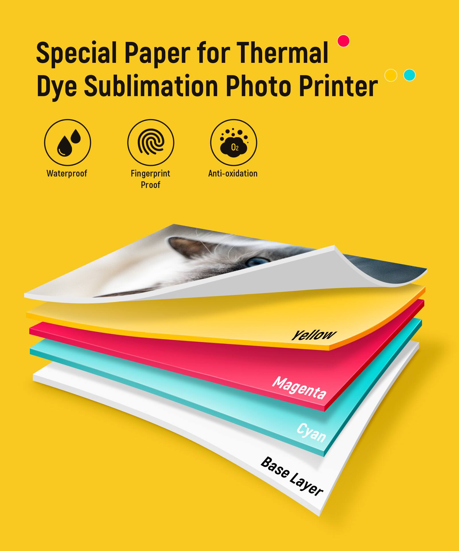Special Paper for Thermal Dye Sublimation Photo Printer  
- Waterproof  
- Fingerprint Proof  
- Anti-oxidation  
- Yellow  
- Magenta  
- Cyan  
- Base Layer