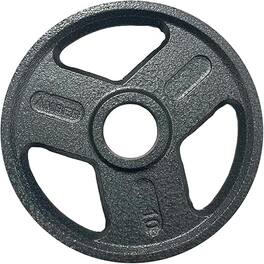 Amber Sporting Goods - Tri-Grip Cast Iron Weight Plates for Strength Training, Rust Resistant, Ideal for Squats & Lifts, 10 lb Pair - Black