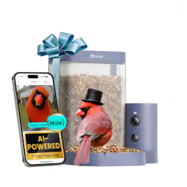 BIRDFY - Smart Bird Feeder Rookie, 1080P HD, 60FPS High-Frame Video for Slow-Motion, 7-Day Free AI Trial, Night Vision - Blue