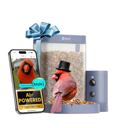Birdfy 41
28 Jul
Northern Cardinal (Male)
AI-POWERED 7-Day Free Trial