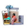 BIRDFY - Smart Bird Feeder Rookie, 1080P HD, 60FPS High-Frame Video for Slow-Motion, 7-Day Free AI Trial, Night Vision - Blue