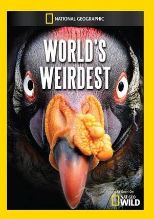 Front. World's Weirdest - DVD.