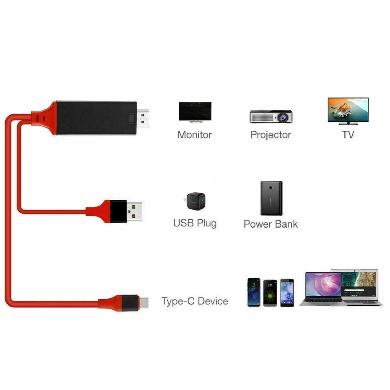Monitor  
Projector  
TV  
USB Plug  
Power Bank  
Type-C Device