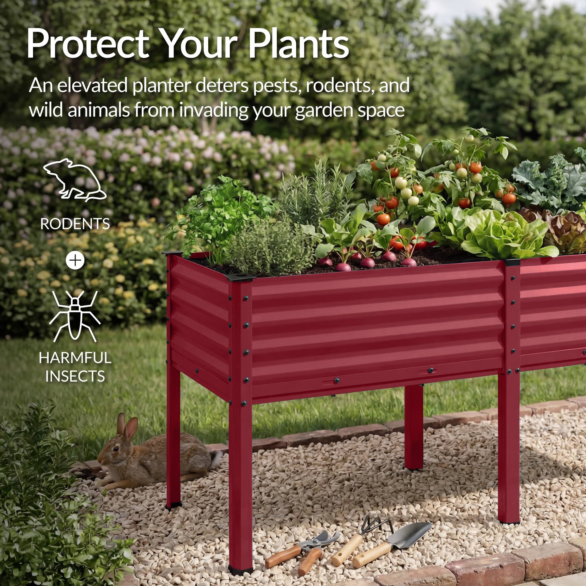 Protect Your Plants

An elevated planter deters pests, rodents, and wild animals from invading your garden space

RODENTS + HARMFUL INSECTS