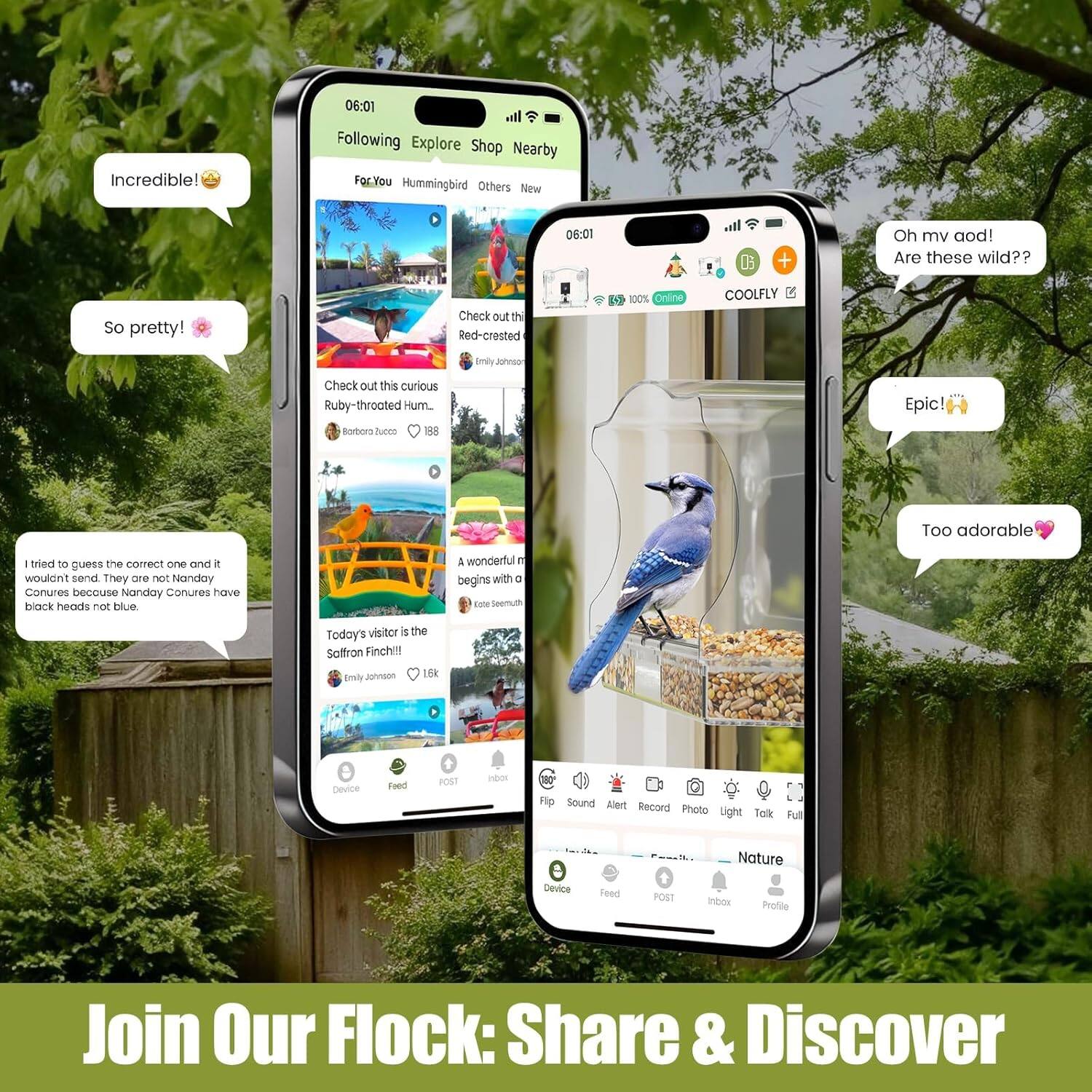 Incredible! 😍

So pretty! 🌸

Oh my gosh! Are these wild???

Epic! 🦋

Too adorable ❤️

I tried to guess the correct one and I wouldn't send. They are not Nanday Conures because Nanday Conures have black heads not blue.

A wonderful n begins with a

Today's visitor is the Saffron Finch!!!

Join Our Flock: Share & Discover