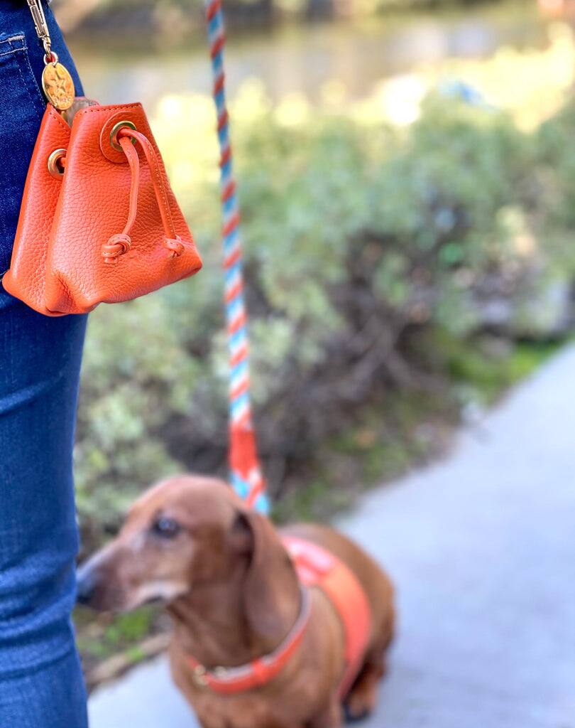 Angle. PoisePup - Genuine Leather Hands-Free Pet Walking and Training Treat Pouch for Dog - Orange.