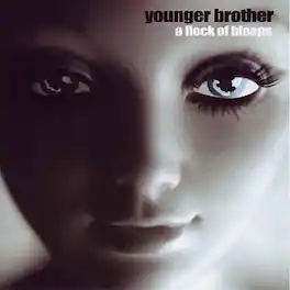 Young Brother - A Flock Of Bleeps - VINYL LP
