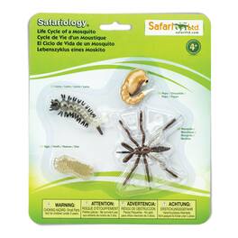 Safari Ltd. - Life Cycle Of A Mosquito Toy