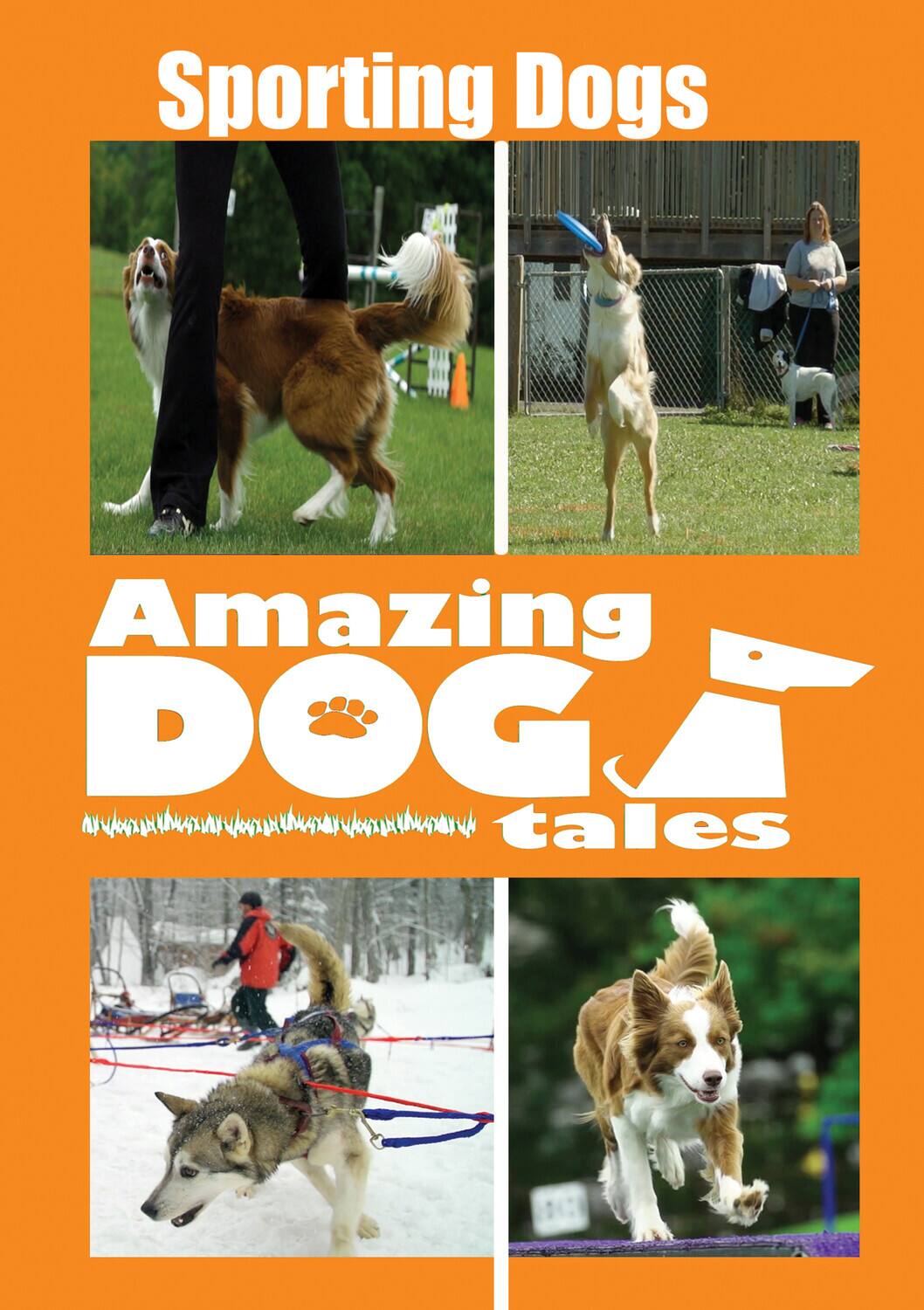 Front. Amazing Dog Tales - Sporting Dogs   - DVD.