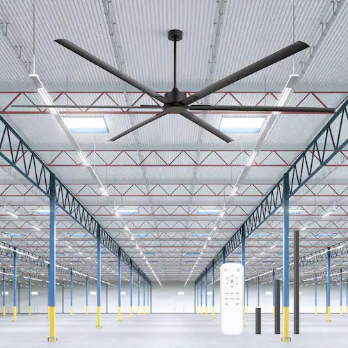 Ceiling Fans