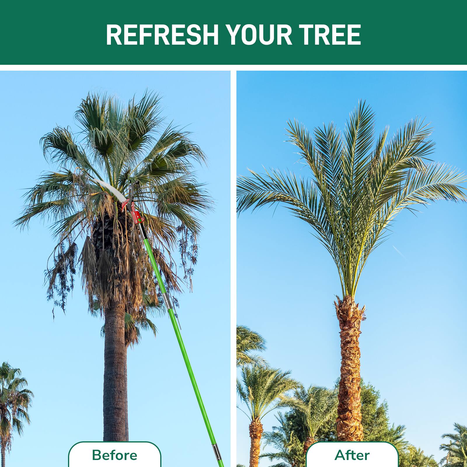 REFRESH YOUR TREE

Before

After