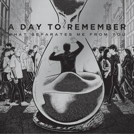 Day to Remember - What Separates Me From You - VINYL LP