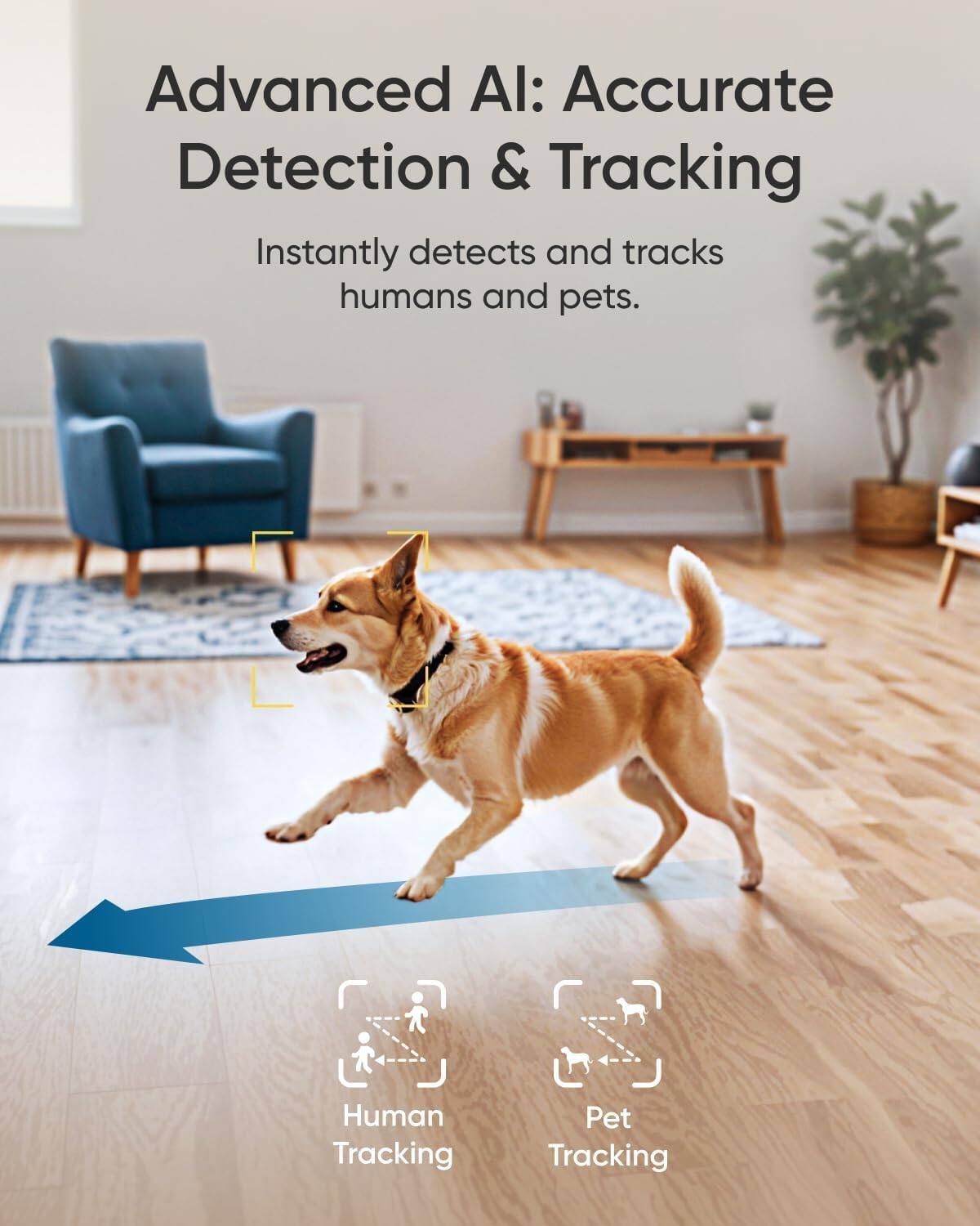 Advanced AI: Accurate Detection & Tracking  
Instantly detects and tracks humans and pets.  
Human Tracking  
Pet Tracking