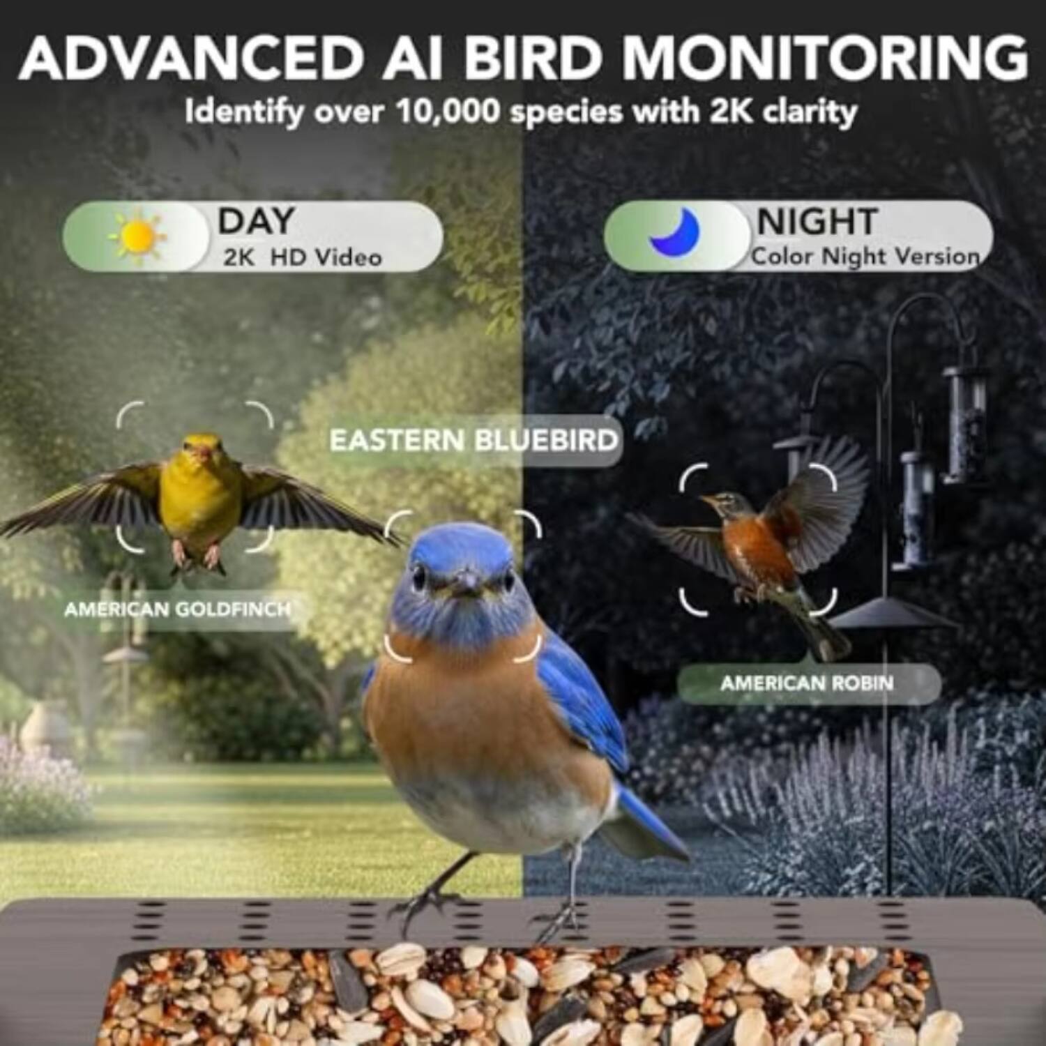 ADVANCED AI BIRD MONITORING  
Identify over 10,000 species with 2K clarity

DAY  
2K HD Video

NIGHT  
Color Night Version

EASTERN BLUEBIRD  
AMERICAN GOLDFINCH  
AMERICAN ROBIN