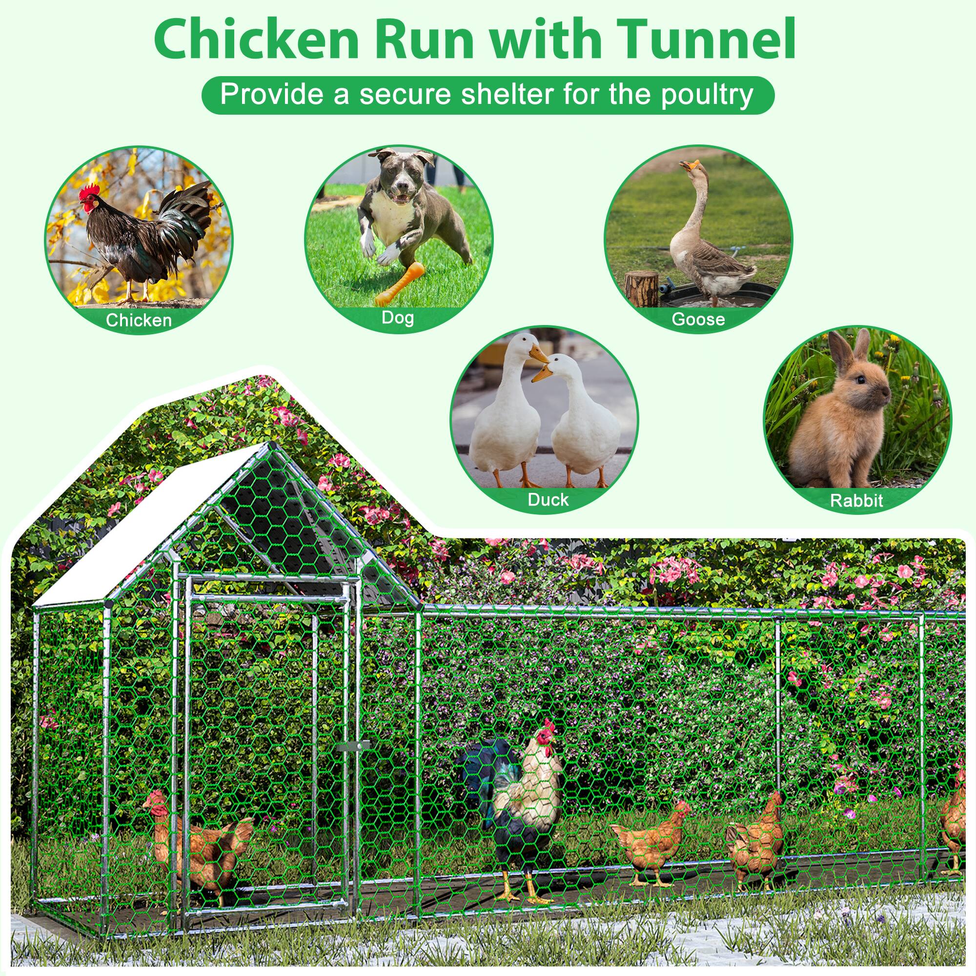 Chicken Run with Tunnel  
Provide a secure shelter for the poultry  

- Chicken  
- Dog  
- Goose  
- Duck  
- Rabbit