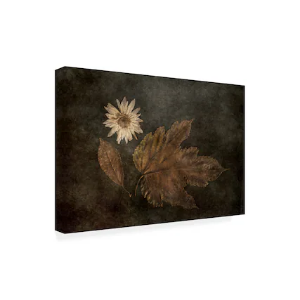 Front. Trademark Fine Art - Gilbert Claes The Trio Canvas Art - 47 x 30 Inches - 47x30 - Multicolor.