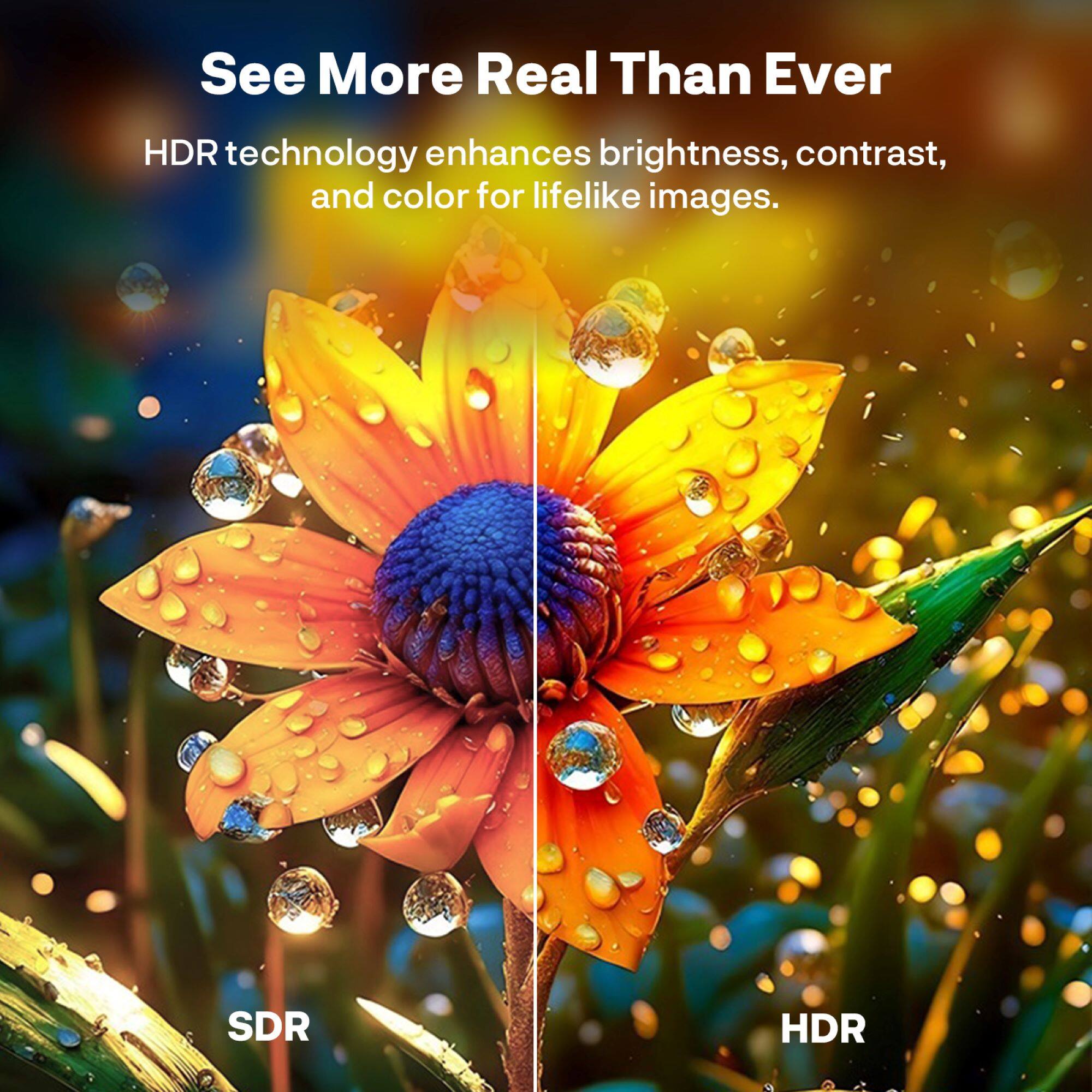 See More Real Than Ever

HDR technology enhances brightness, contrast, and color for lifelike images.

SDR HDR