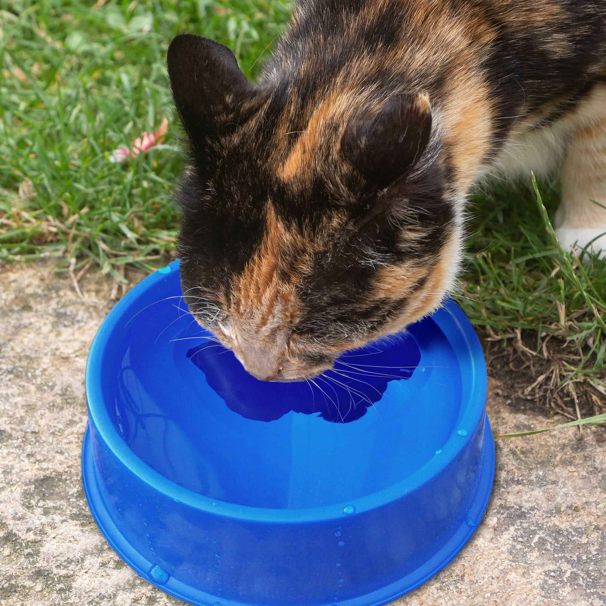 Alt View 3. Farm Innovators - Farm Innovators Plastic Heated Pet Bowl with Anti Chew Cord for All Breed Sizes - Blue.