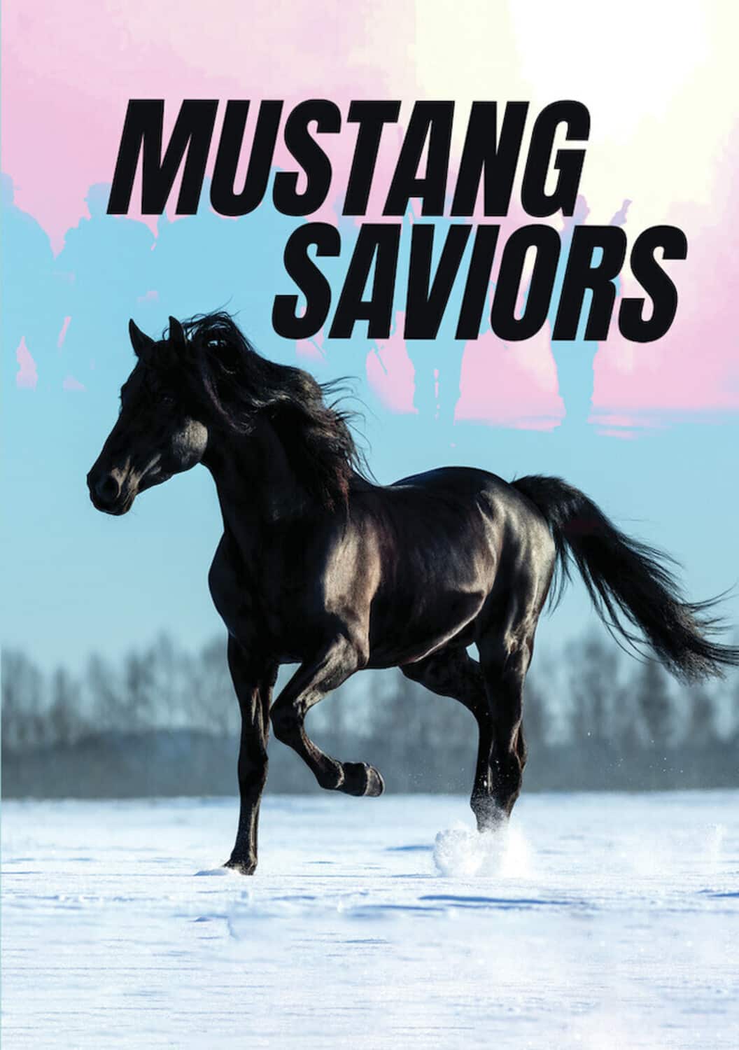 Mustang Saviors  - DVD