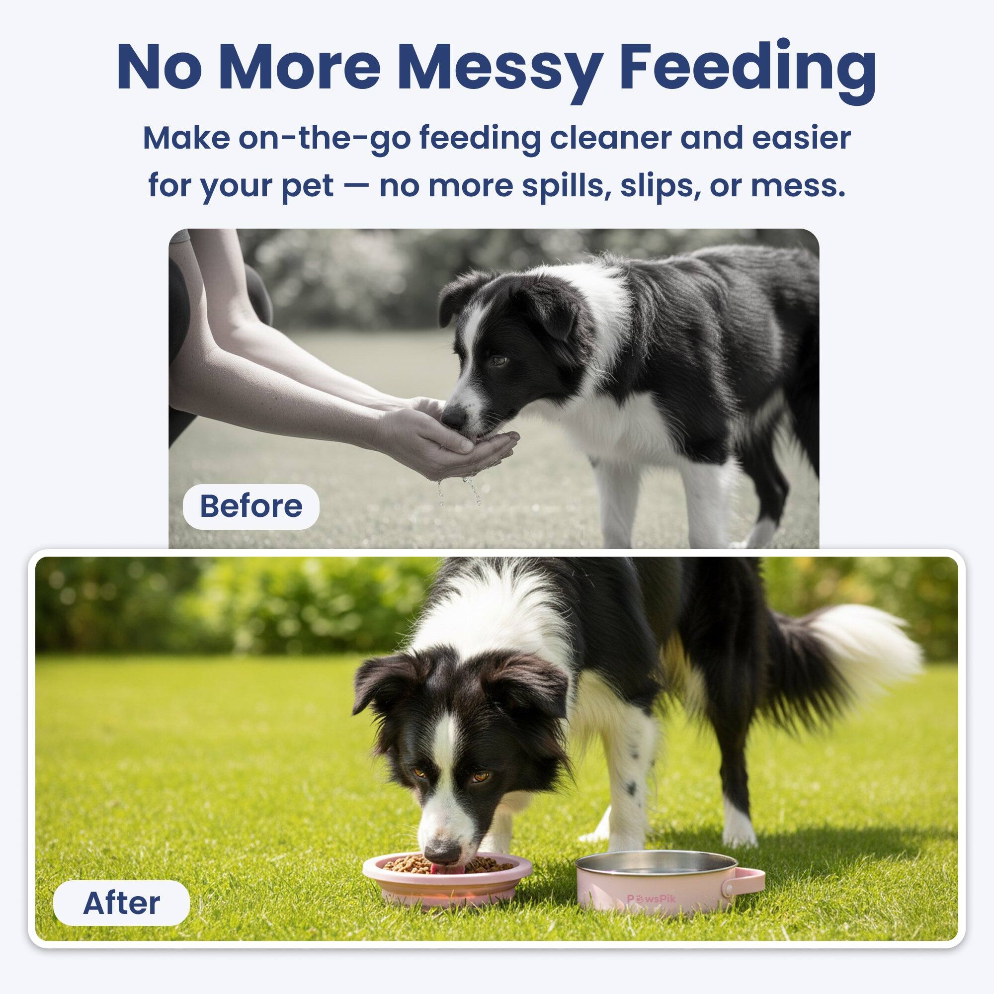 No More Messy Feeding  
Make on-the-go feeding cleaner and easier for your pet — no more spills, slips, or mess.  

Before  
After