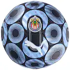 CLUB DEPORTIVO GUADALAJARA
CLUB DEPORTIVO GUADALAJARA