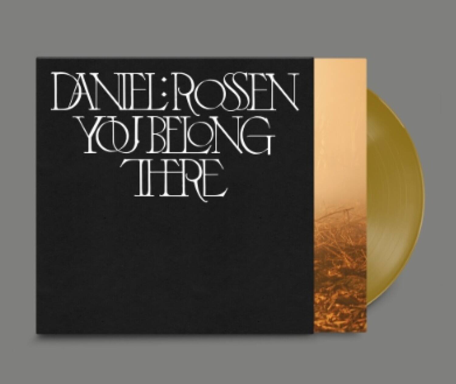 Daniel Rossen - You Belong There   - VINYL LP price history on PriceWatchPro
