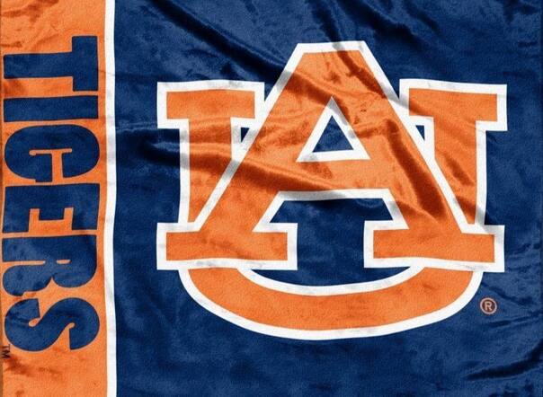 Alt View 2. Northwest - Auburn-University - 50x60 School Spirit Royal Plush Raschel Throw Blanket - Multi.