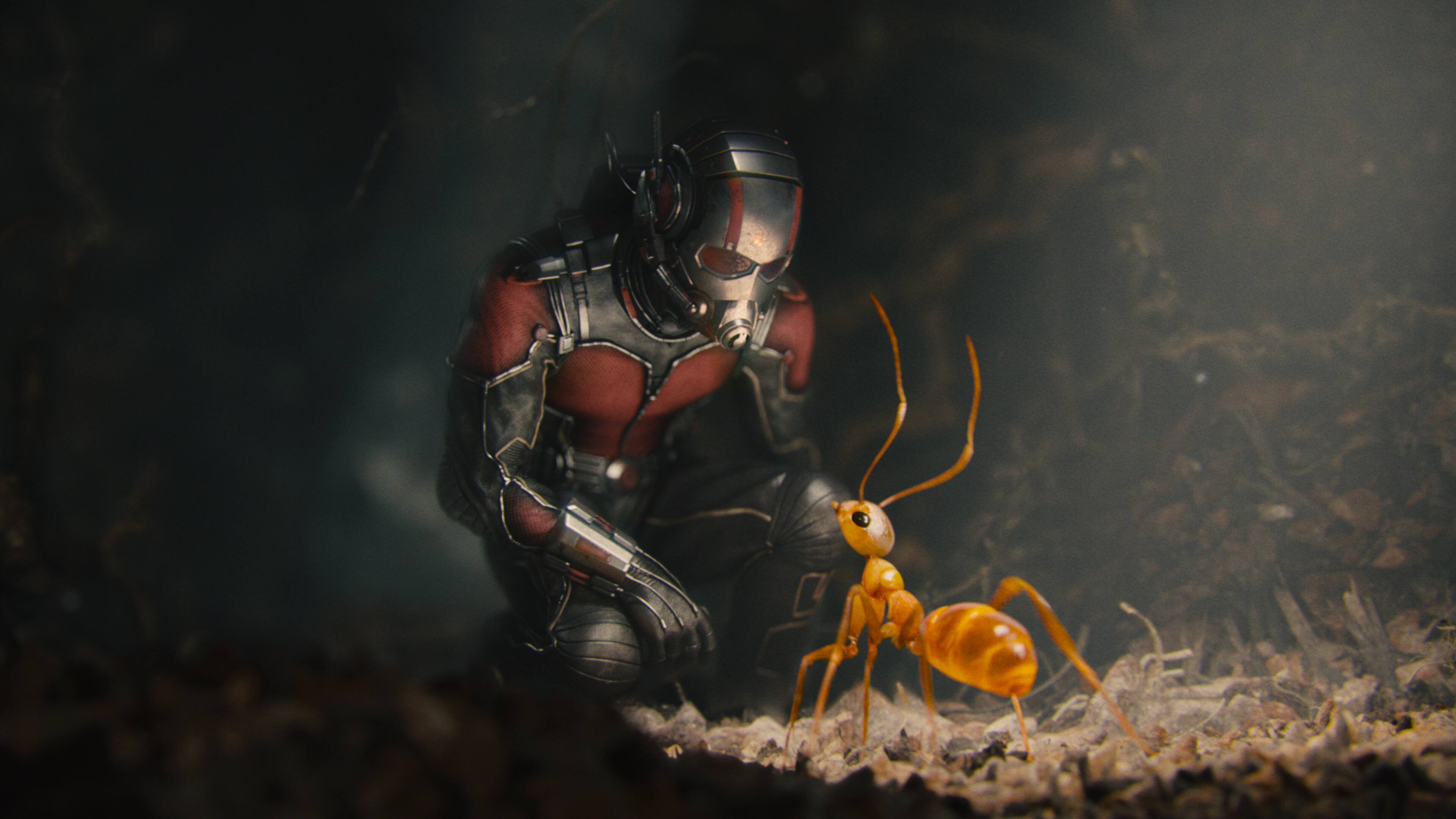 Alt View 1. Ant-Man   - BLU-RAY.