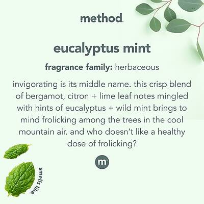 method.  
eucalyptus mint  

fragrance family: herbaceous  

invigorating is its middle name. This crisp blend of bergamot, citron + lime leaf notes mingled with hints of eucalyptus + wild mint brings to mind frolicking among the trees in the cool mountain air. And who doesn't like a healthy dose of frolicking?