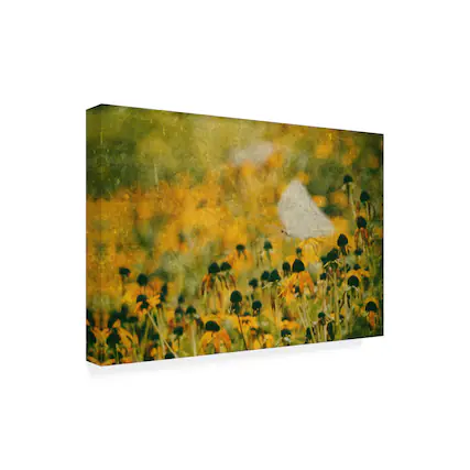 Front. Trademark Fine Art - Ina Bouhuijzen End Of Summer Canvas Art - 24 x 16 Inches - 24x16 - Multicolor.