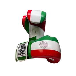 Amber Sporting Goods - Invincible Fight Gear Standard Gloves with Colors -Ideal for Men Women and Kids (12oz) - Mexican Flag