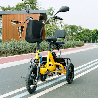 amazon 3 wheel bicycle MG1703-ZEUS : Fat Tire Electric Trike C5 Electric Trike Powerful Rated 650W(Peak 1000W) Motor Gyroor C5 Electric Trike